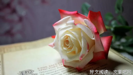 关于恭敬的唯美语录