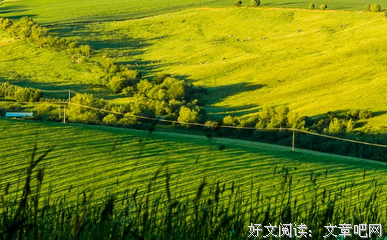 白羊座不爱你的信号