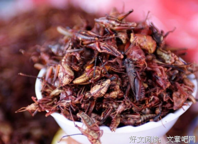 女生该不该为真爱远嫁？