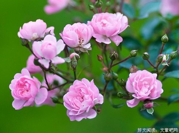 QQ个性签名