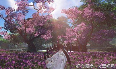 韶华流年句子大全