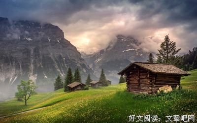 有关网易热评的句子