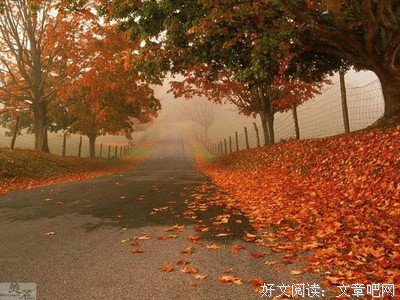 多少感情，都毁在这句话