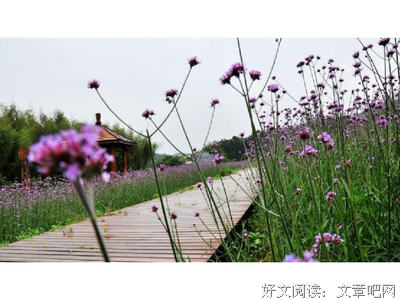 最经典的鼹鼠的土豆的名言