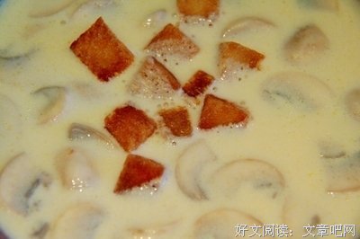 关于大宝法王噶玛巴15句经典名言