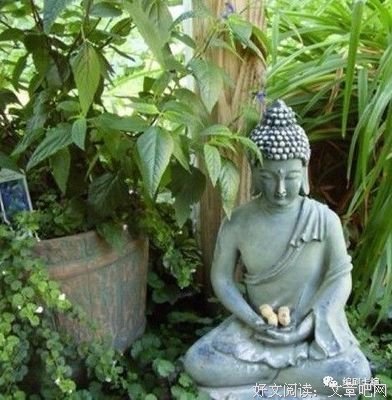 有关宗萨钦哲仁波切名句欣赏