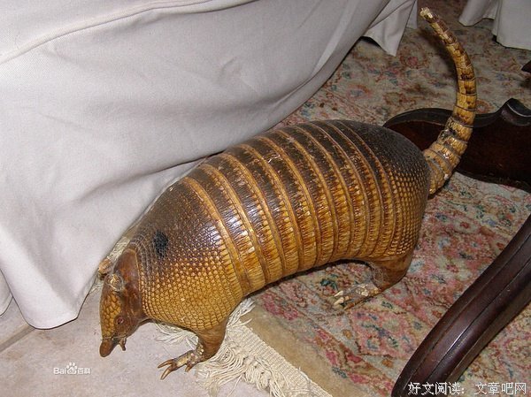 伊丽莎白·毕肖普精彩语录