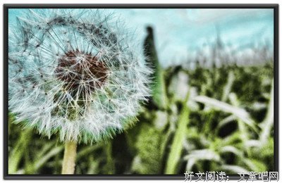 最新的《我喜欢你是寂静的》经典语录