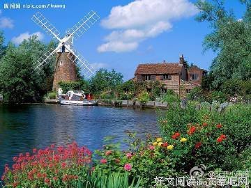 最新的《郑俊雅互联网语录》经典句子
