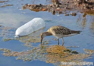 人体已被塑料污染？那些被你遗弃的垃圾，正在偷偷还给你……