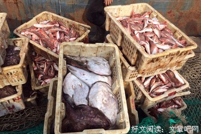 最经典的《北纬三十三度的爱恋》小说书摘大全