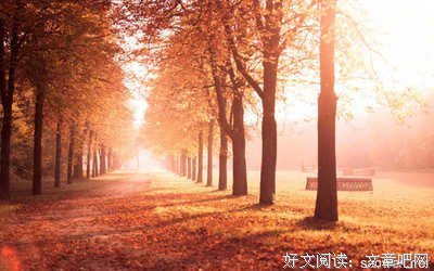 最新的《我与世界只差一个你》经典句子