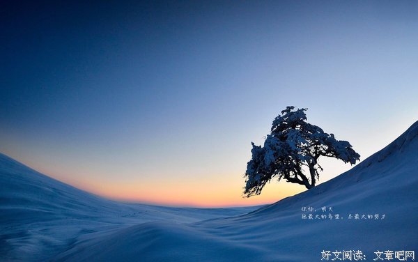 最全的《来自风平浪静的明天》动漫语录