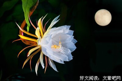 《郑俊雅网络营销心法》经典语句