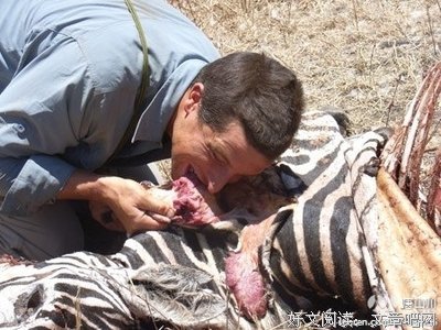 最经典的《站在食物链顶端的男人》小说摘抄大全