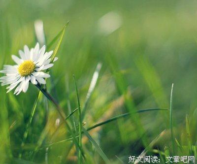 关于一举一动的名句摘抄
