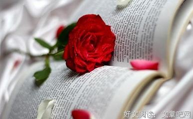 张爱玲经典名句