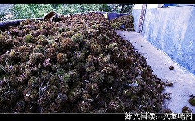 《中山民得摘抄哦！》的句子