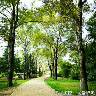 最全的《世间所有相遇都是久别重逢》语录摘抄