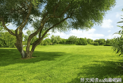 《我不是巫比道是厨比道》好段摘抄大全