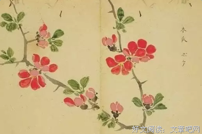 《末过当想狂喵》经典名句大全