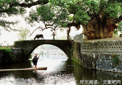 最经典的《孤单心我灿烂的为种-鬼怪》名句欣赏