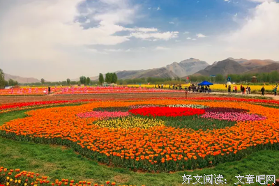 最新的《异能狼牙》小说摘抄