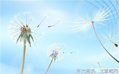 最新的《遇见好实茶花》语录摘抄大全