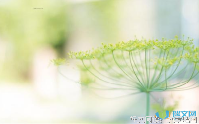 描写风韵犹存的语句摘抄