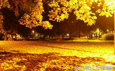 喜欢的优美句子