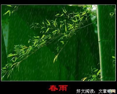 错过的优美句子