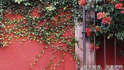 我的句集句子大全