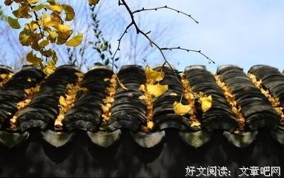 有关顾言柒名言
