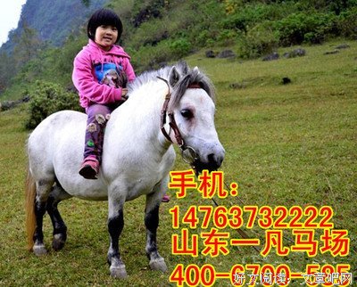有关一凡的格言