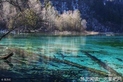 寻找梦中的回忆名言