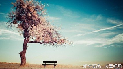 最新的《欲望与头脑》语录摘抄大全
