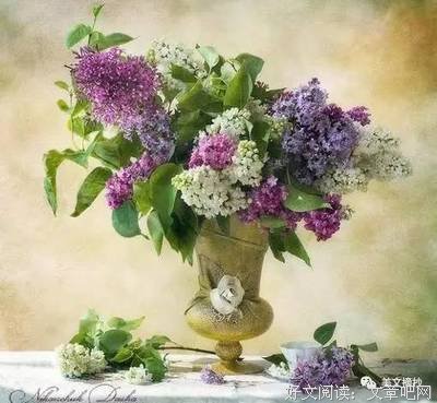 最经典的《伤感美文》语录摘抄