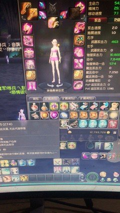 最经典的《紫黄兰永恒花园》小说书摘