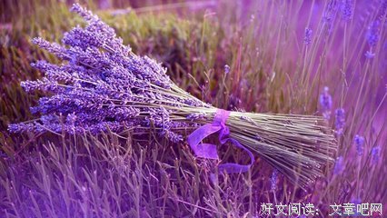 《于格人爱我》经典的句子
