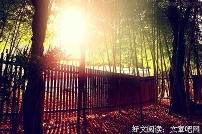 最经典的《当你沉睡时》经典句子