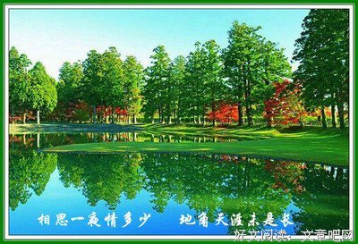 《如寄》经典名句