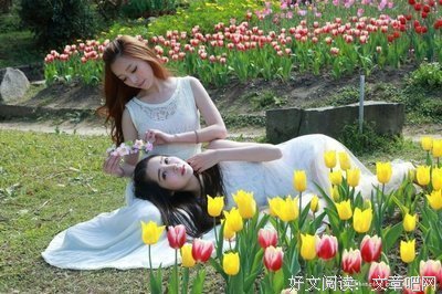 《风年题妹妹恋上我》名句欣赏