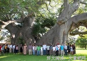 最经典的《死于黎明》名句欣赏