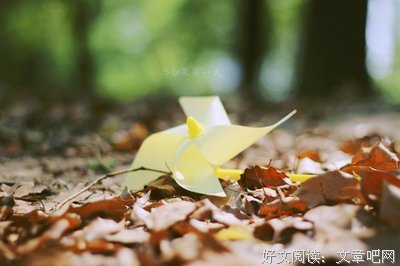 简单的名言_关于简单的名言