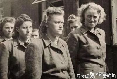 关于初生牛犊不怕虎名言名句