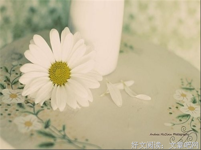 随意的优美句子