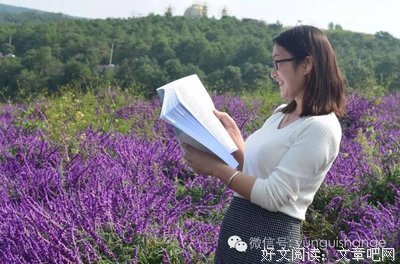 冰与火西事界学歌句子