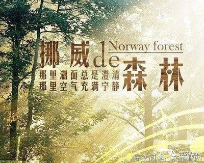 挪威的森林句子大全