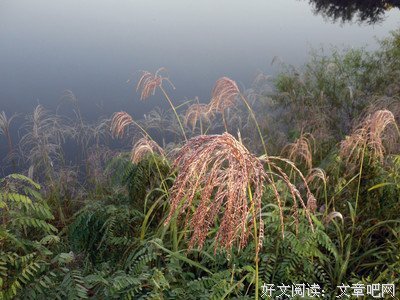 有关你最好的模样的句子