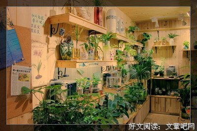 有关一草名言